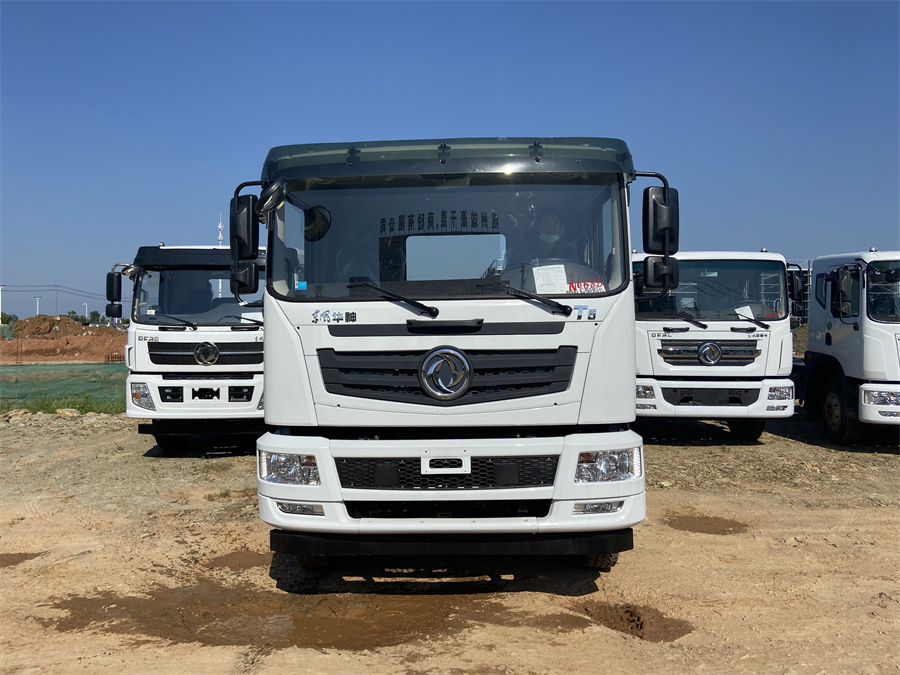 東風(fēng)T5（后雙橋，玉柴260）國(guó)六 內(nèi)飾照片圖